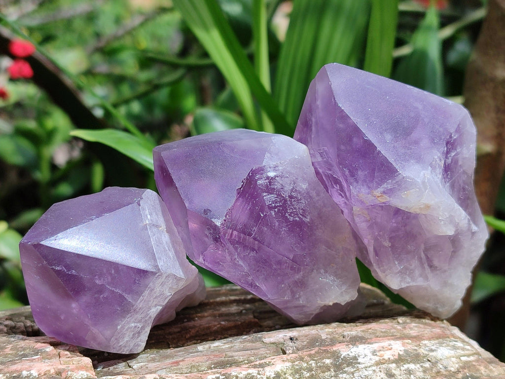 Polished Jacaranda Amethyst Crystals x 12 From Mumbwa, Zambia