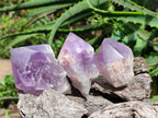 Polished Jacaranda Amethyst Crystals x 12 From Mumbwa, Zambia