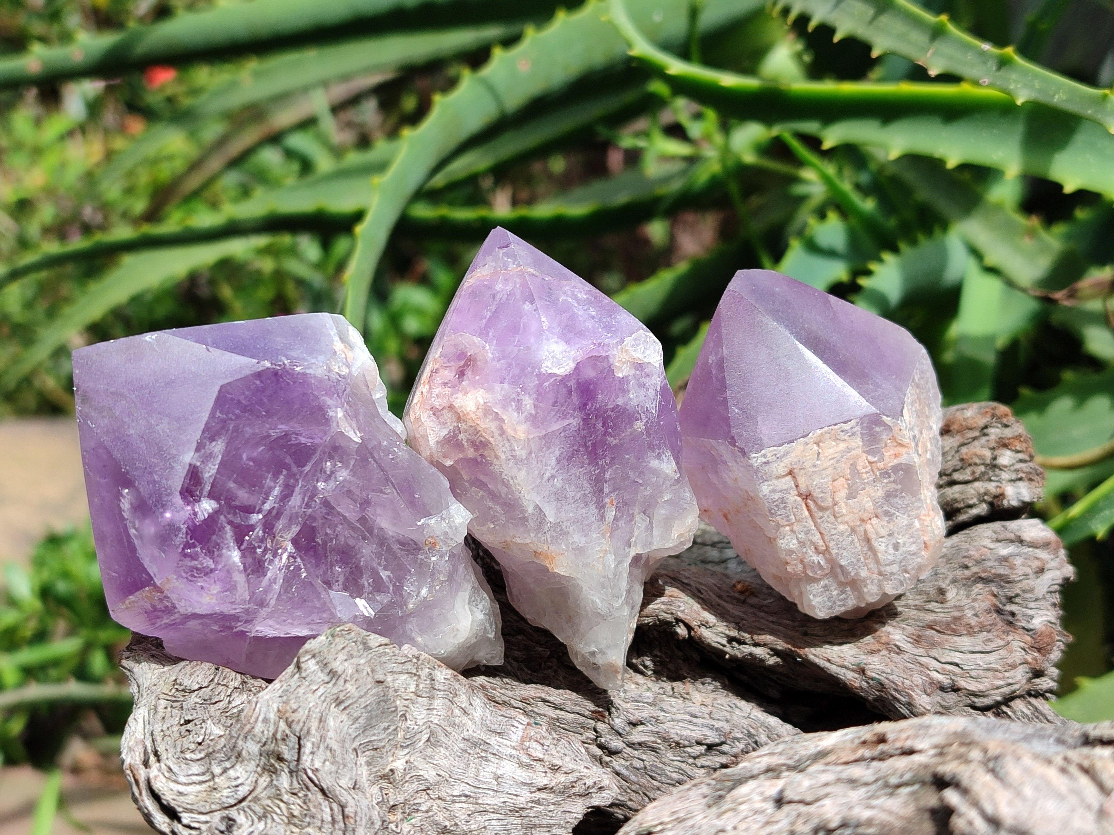 Polished Jacaranda Amethyst Crystals x 12 From Mumbwa, Zambia