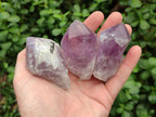 Polished Jacaranda Amethyst Crystals x 12 From Mumbwa, Zambia