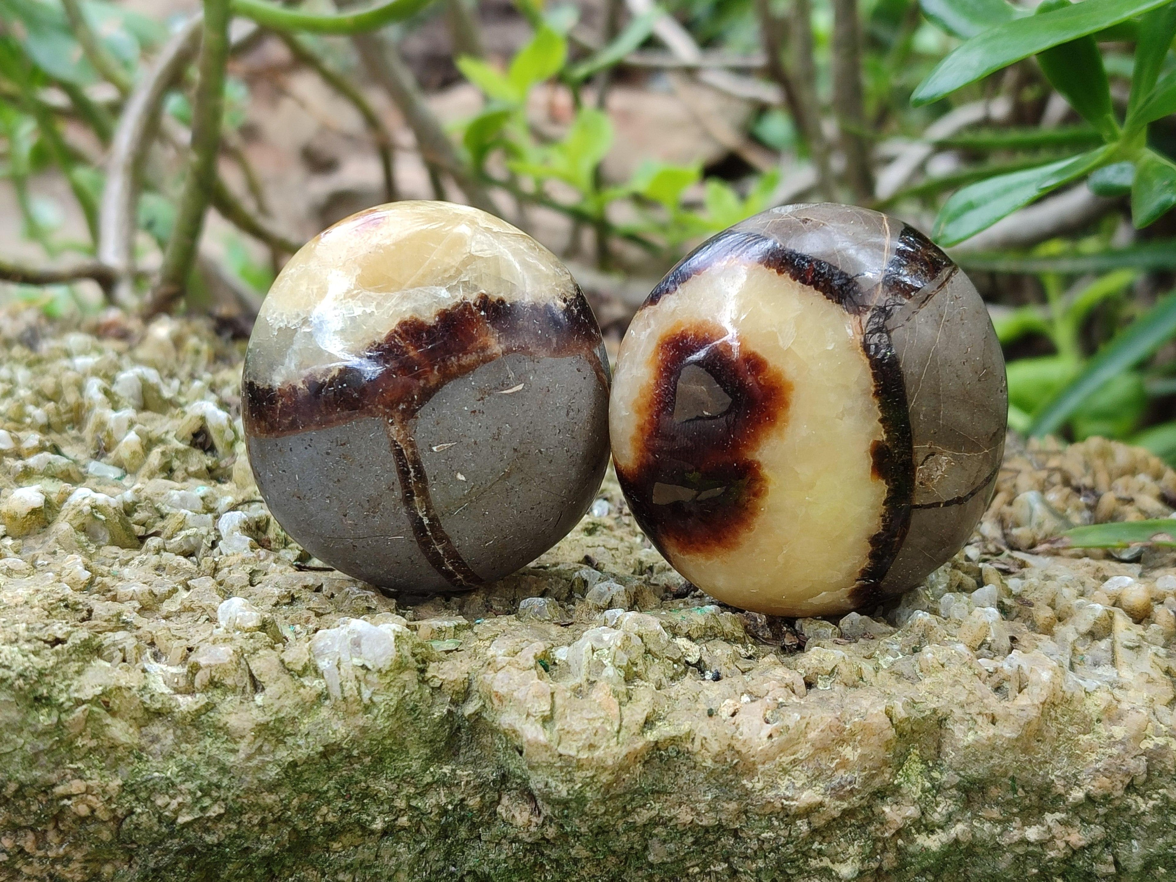 Polished Septerye Galets x 12 From Mahajanga, Madagascar