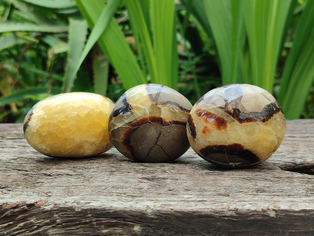 Polished Septerye Galets x 12 From Mahajanga, Madagascar