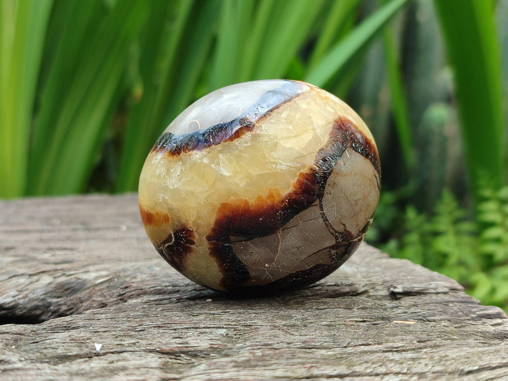 Polished Septerye Galets x 12 From Mahajanga, Madagascar