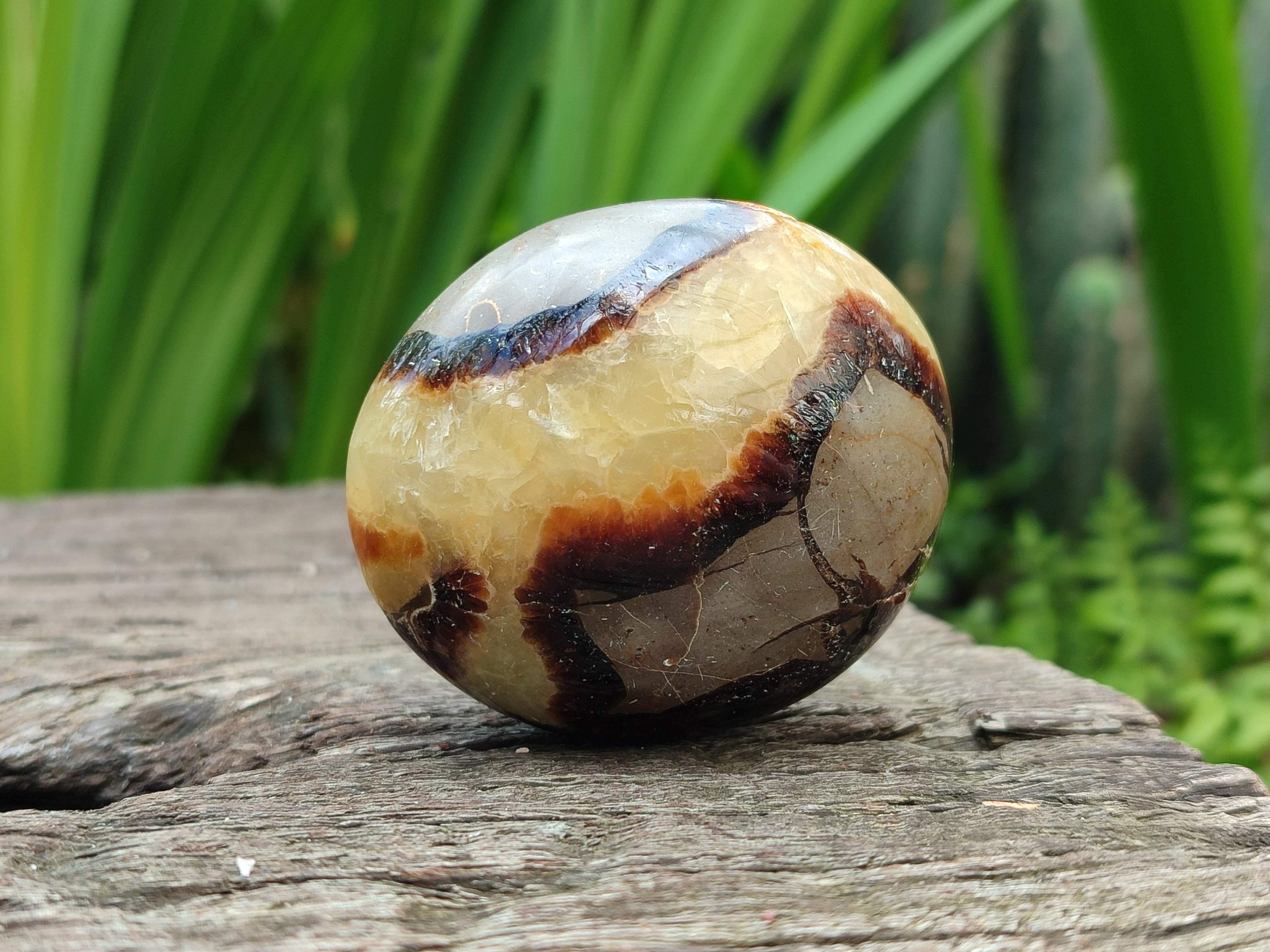 Polished Septerye Galets x 12 From Mahajanga, Madagascar