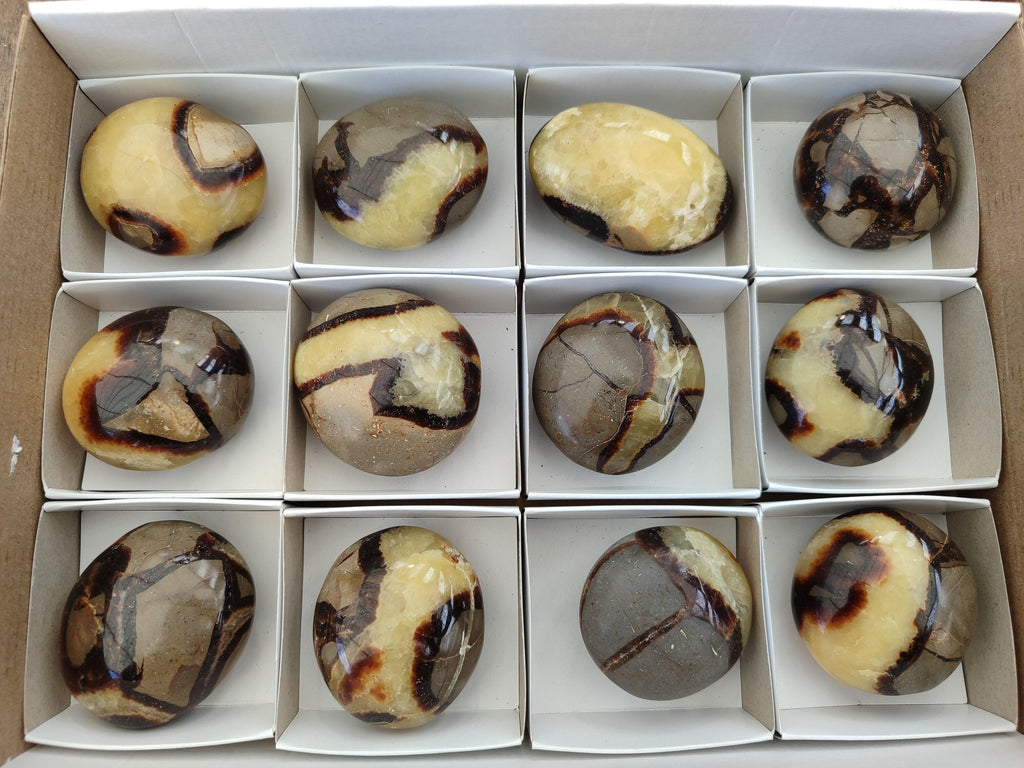 Polished Septerye Galets x 12 From Mahajanga, Madagascar