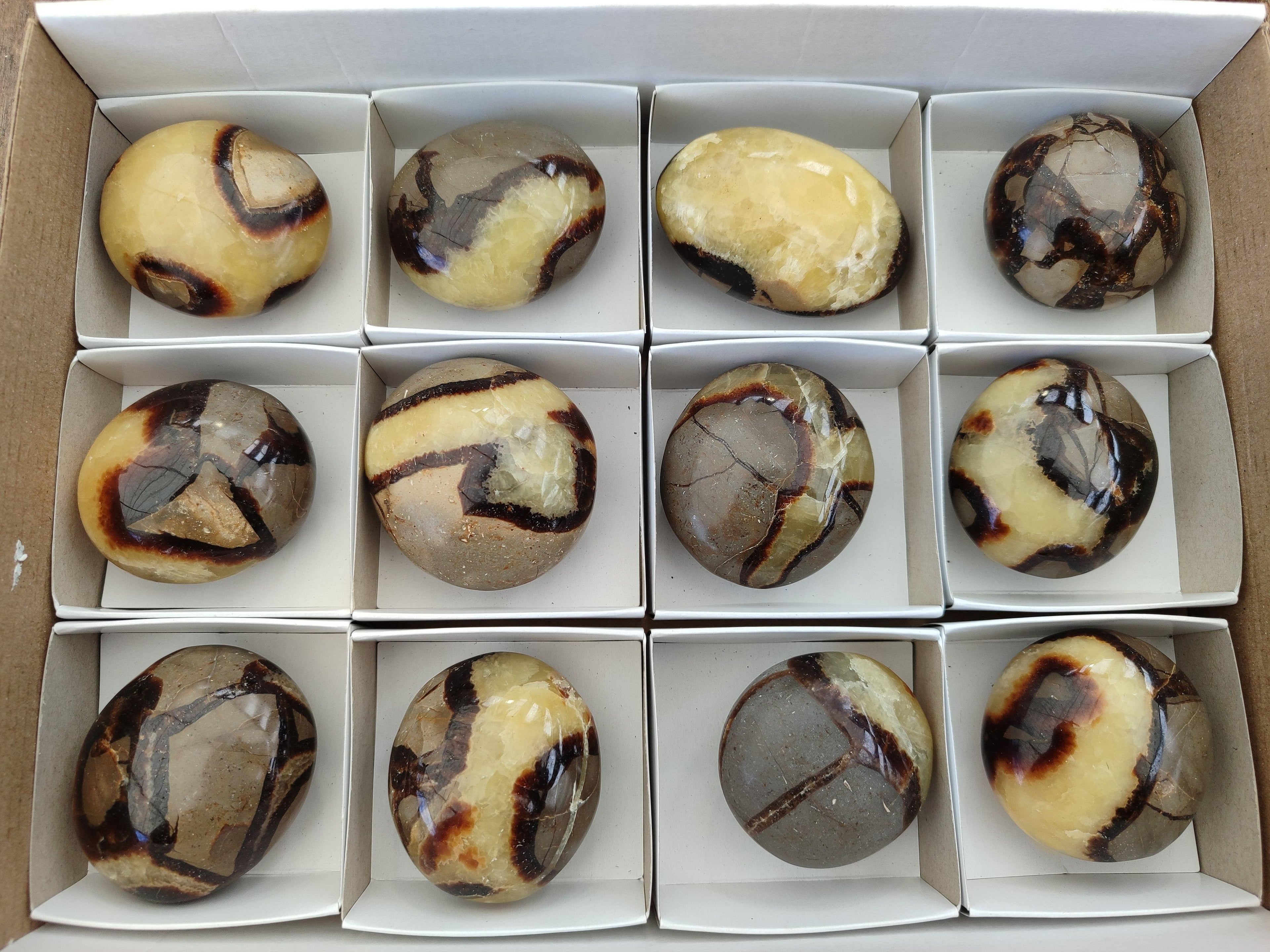 Polished Septerye Galets x 12 From Mahajanga, Madagascar