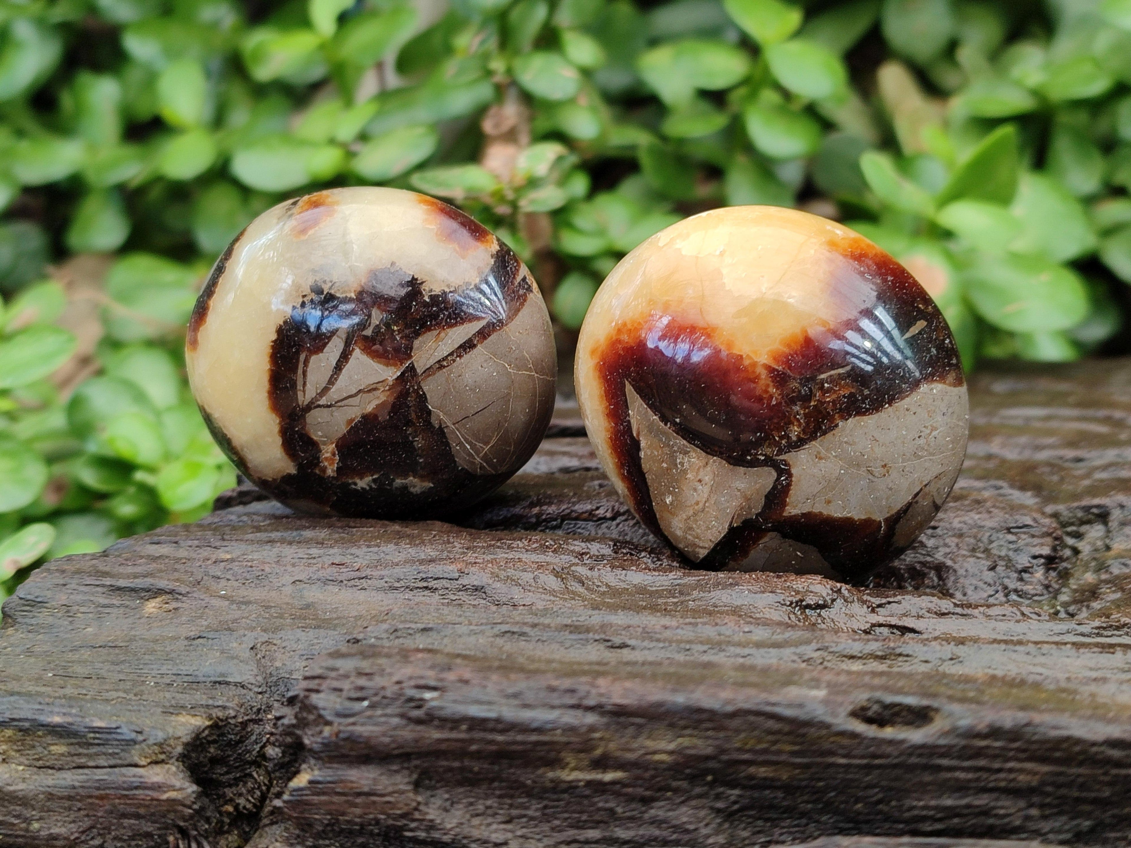 Polished Septerye Galets x 12 From Mahajanga, Madagascar