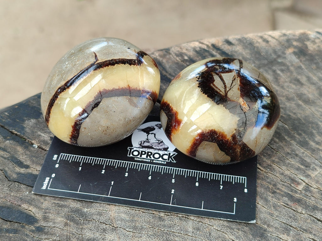Polished Septerye Galets x 12 From Mahajanga, Madagascar
