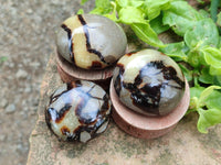Polished Septerye Galets x 12 From Mahajanga, Madagascar