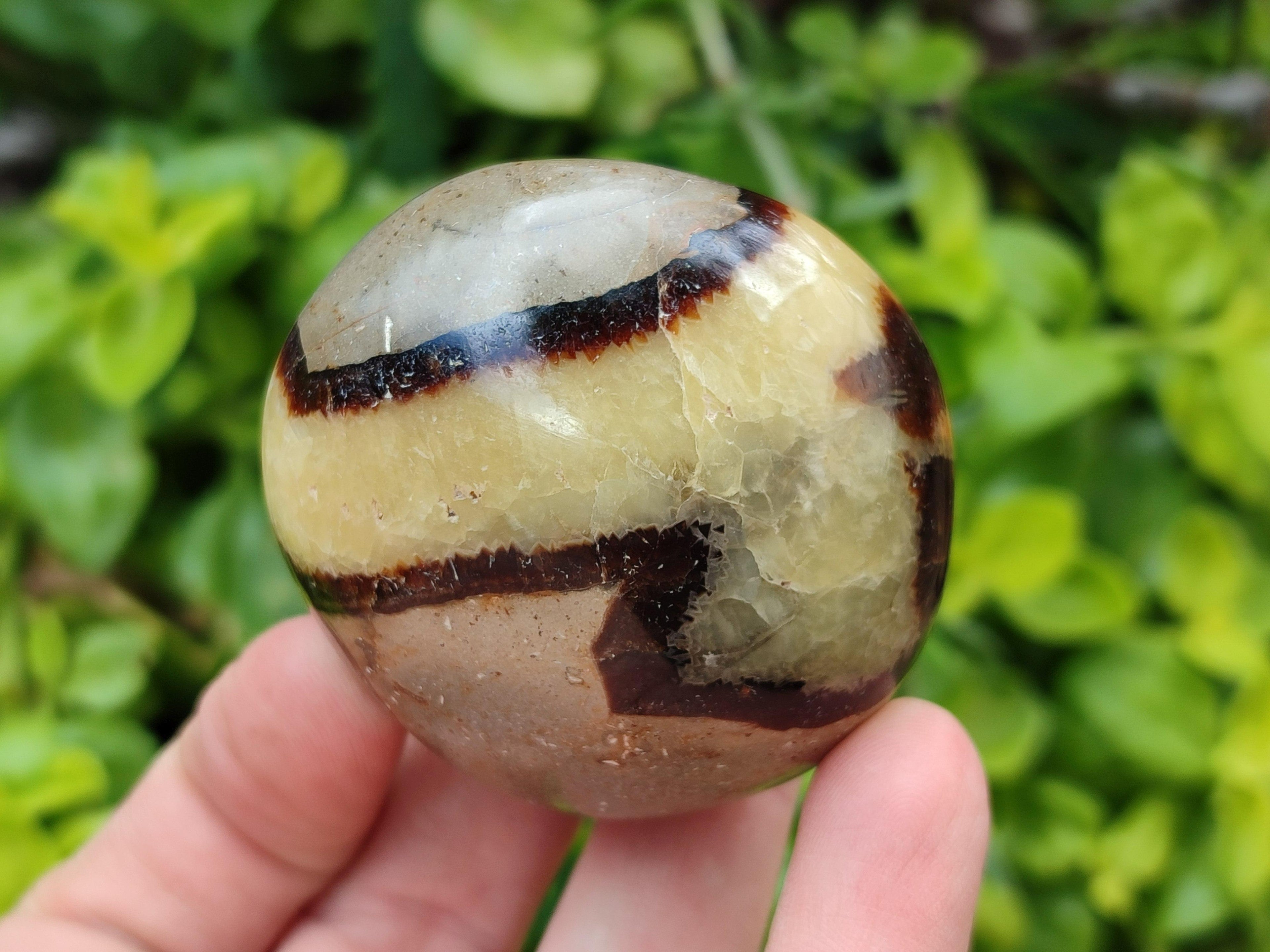 Polished Septerye Galets x 12 From Mahajanga, Madagascar