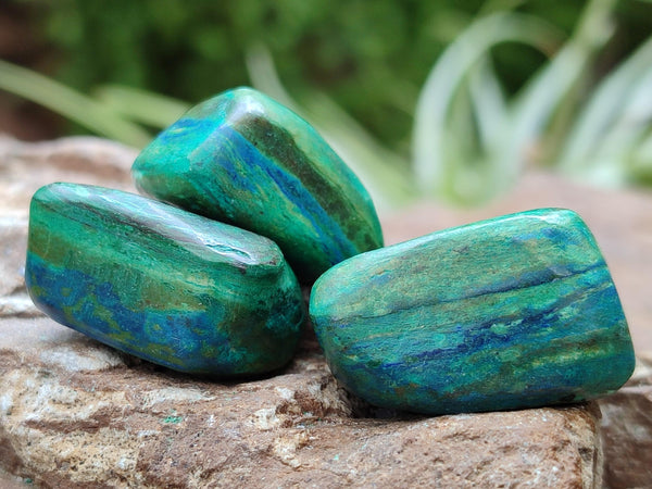 Polished Azurite And Flower Banded Malachite Free Forms x 70 From Congo