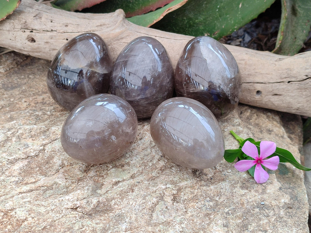 Polished Smokey Quartz Eggs x 5 From Madagascar
