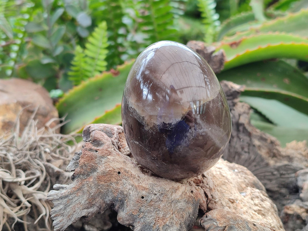 Polished Smokey Quartz Eggs x 5 From Madagascar