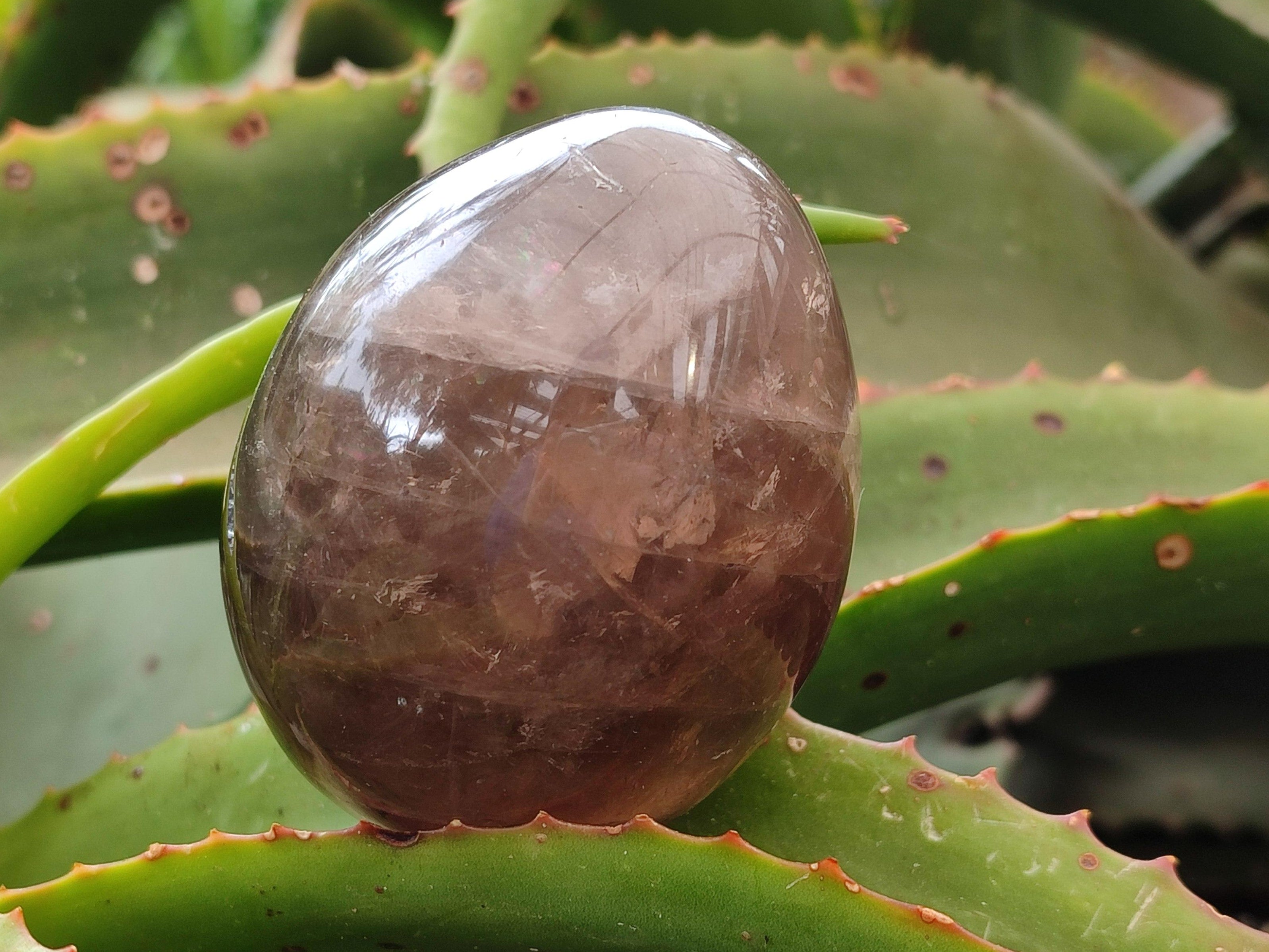 Polished Smokey Quartz Eggs x 5 From Madagascar