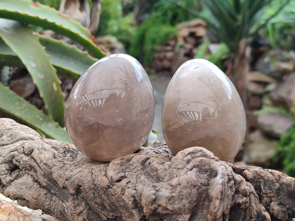 Polished Smokey Quartz Eggs x 5 From Madagascar