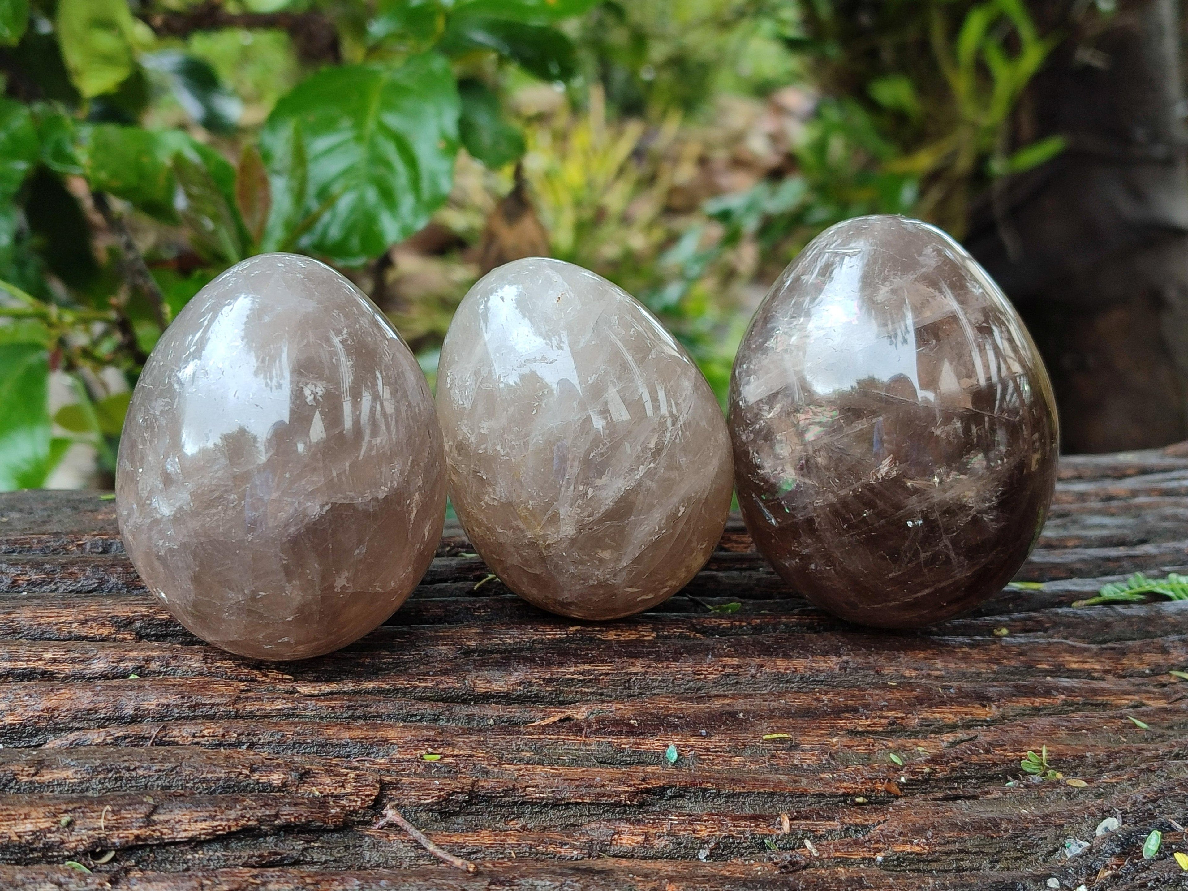 Polished Smokey Quartz Eggs x 5 From Madagascar