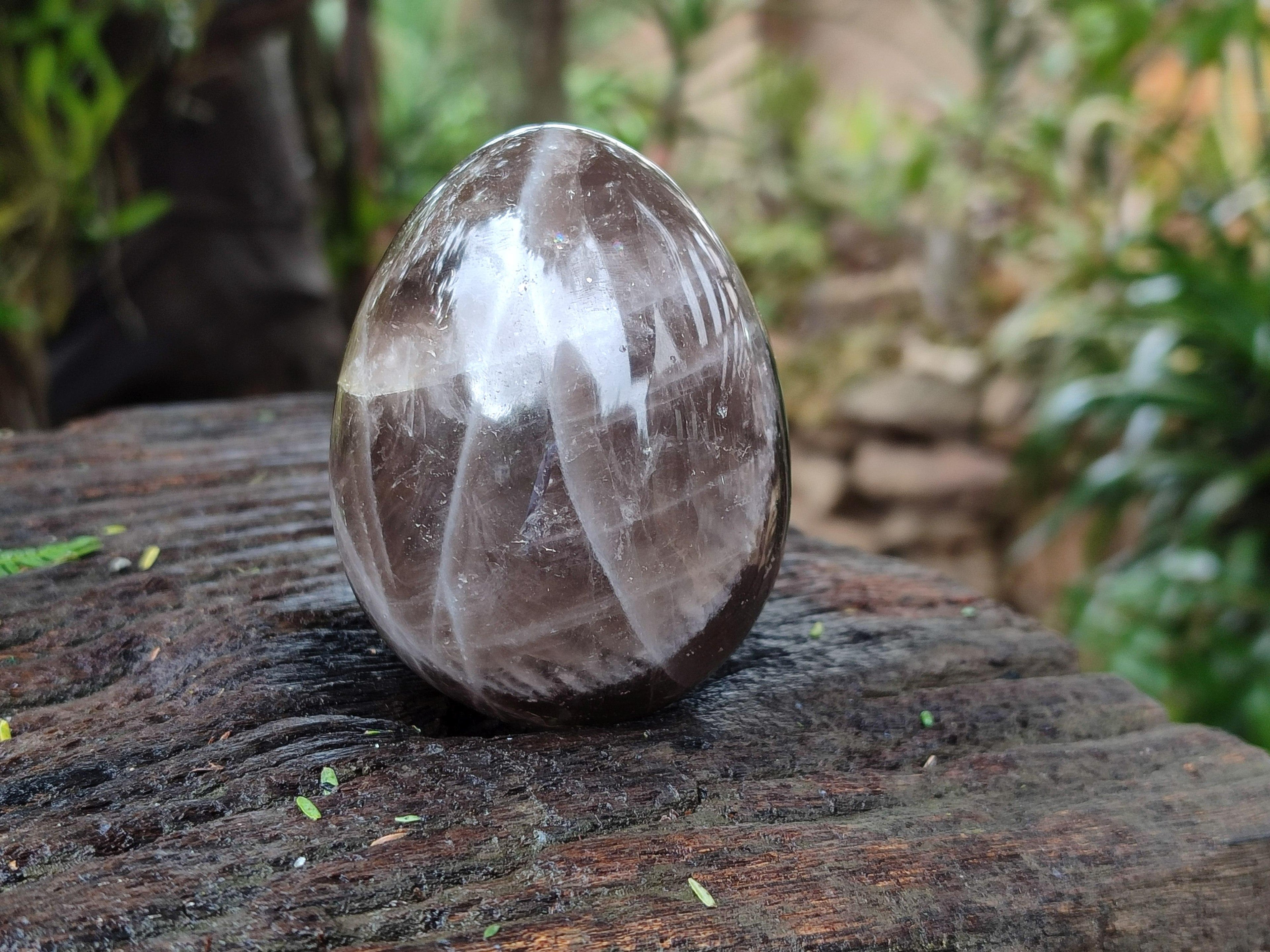 Polished Smokey Quartz Eggs x 5 From Madagascar
