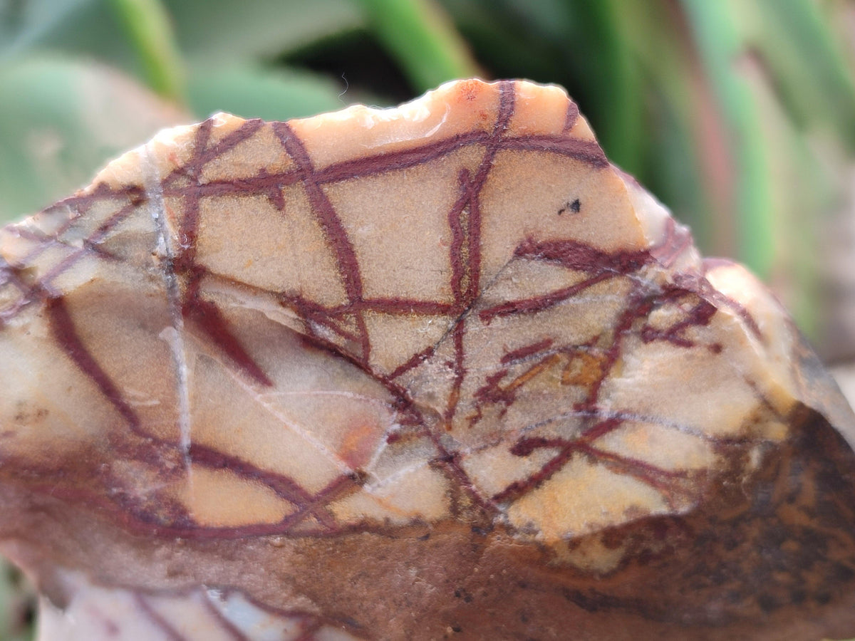 Natural Nguni Jasper Cobbed Specimens x 5 From Northern Cape, South Africa