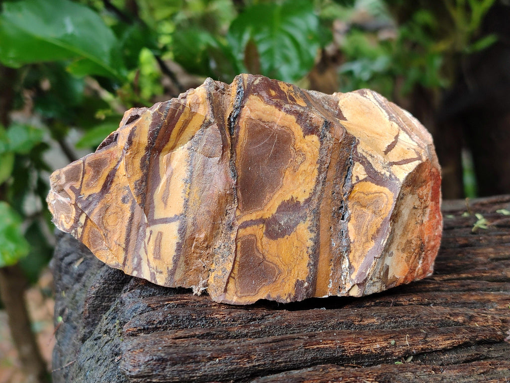 Natural Nguni Jasper Cobbed Specimens x 5 From Northern Cape, South Africa