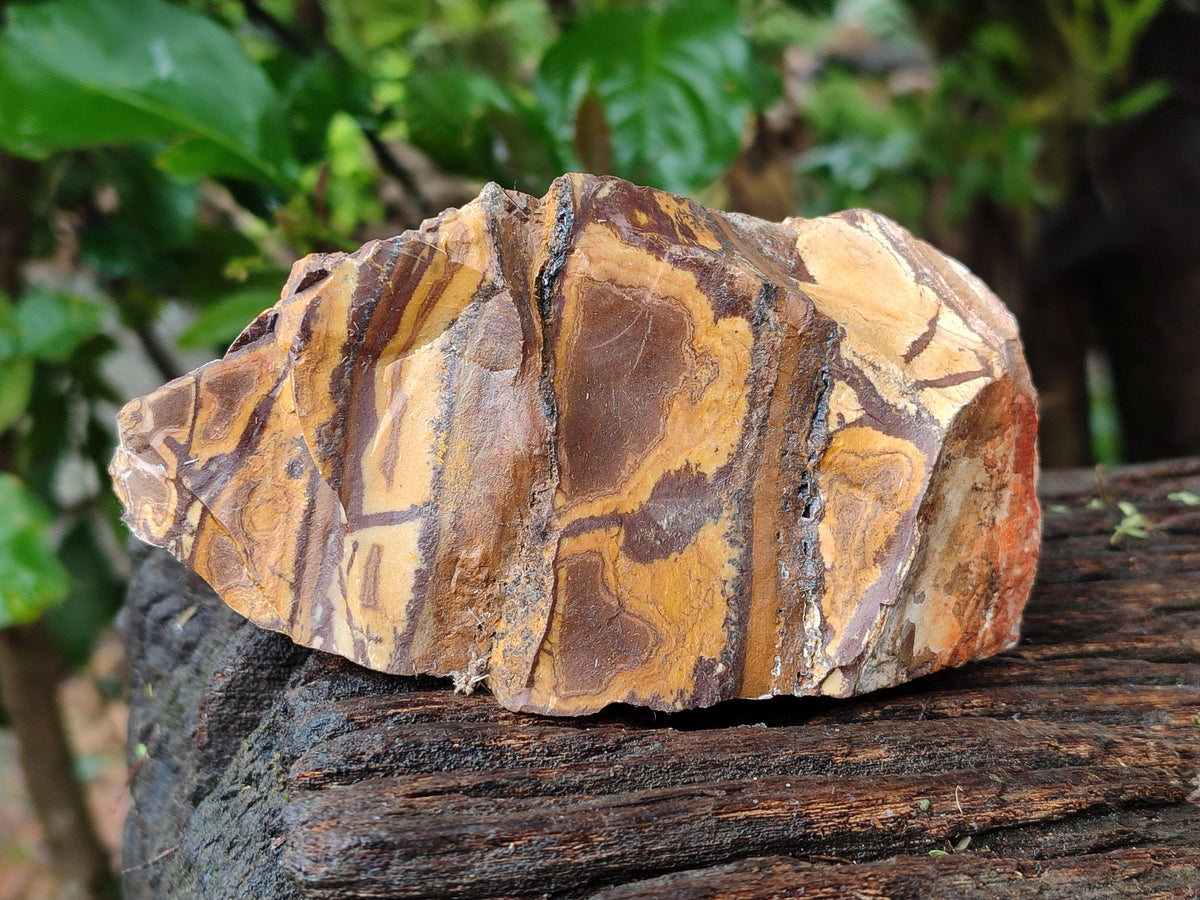 Natural Nguni Jasper Cobbed Specimens x 5 From Northern Cape, South Africa