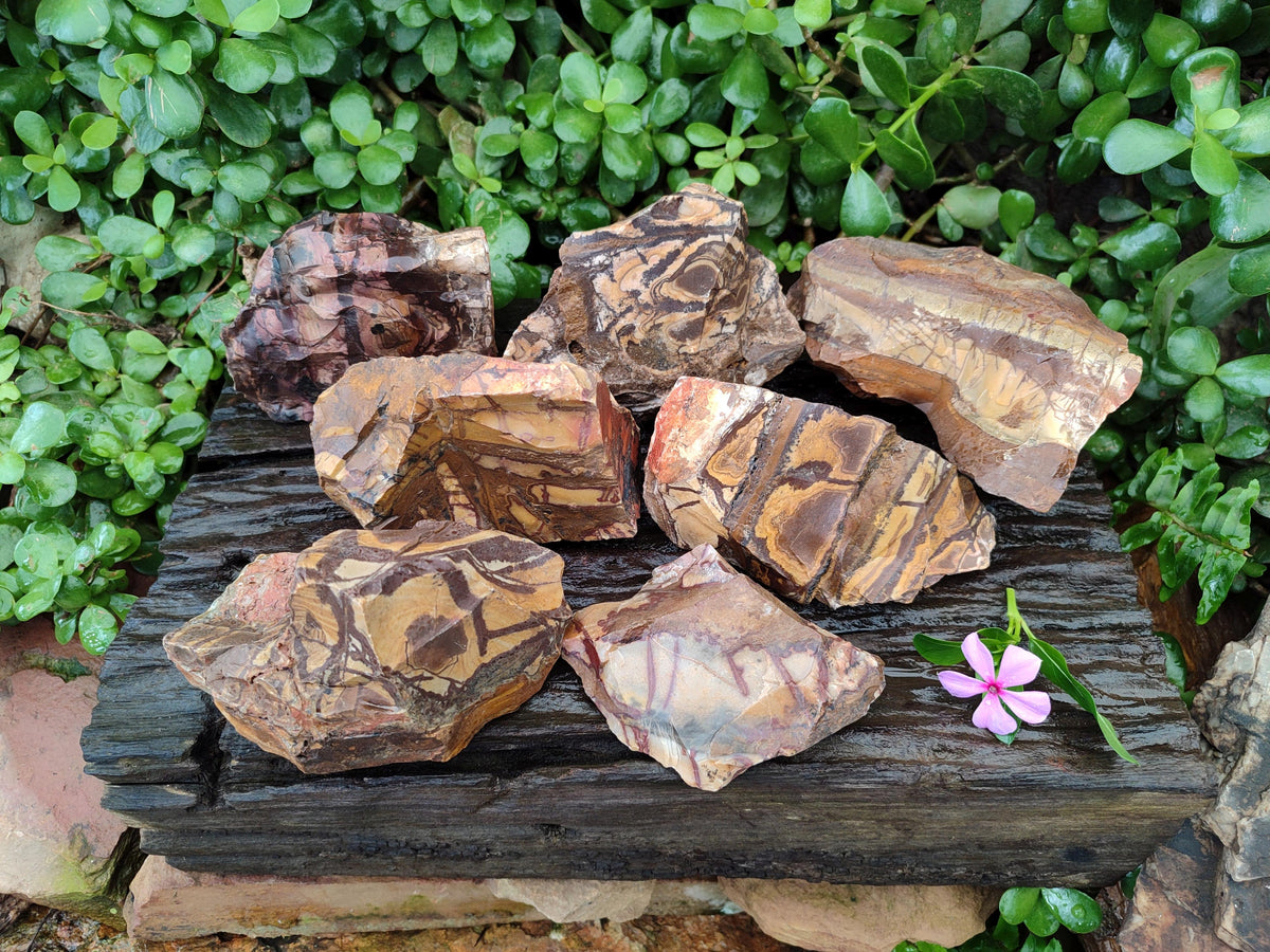 Natural Nguni Jasper Cobbed Specimens x 5 From Northern Cape, South Africa