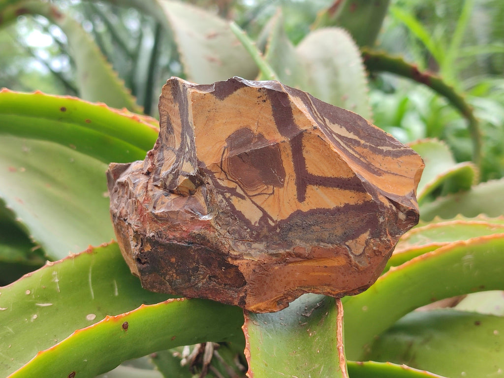 Natural Nguni Jasper Cobbed Specimens x 5 From Northern Cape, South Africa