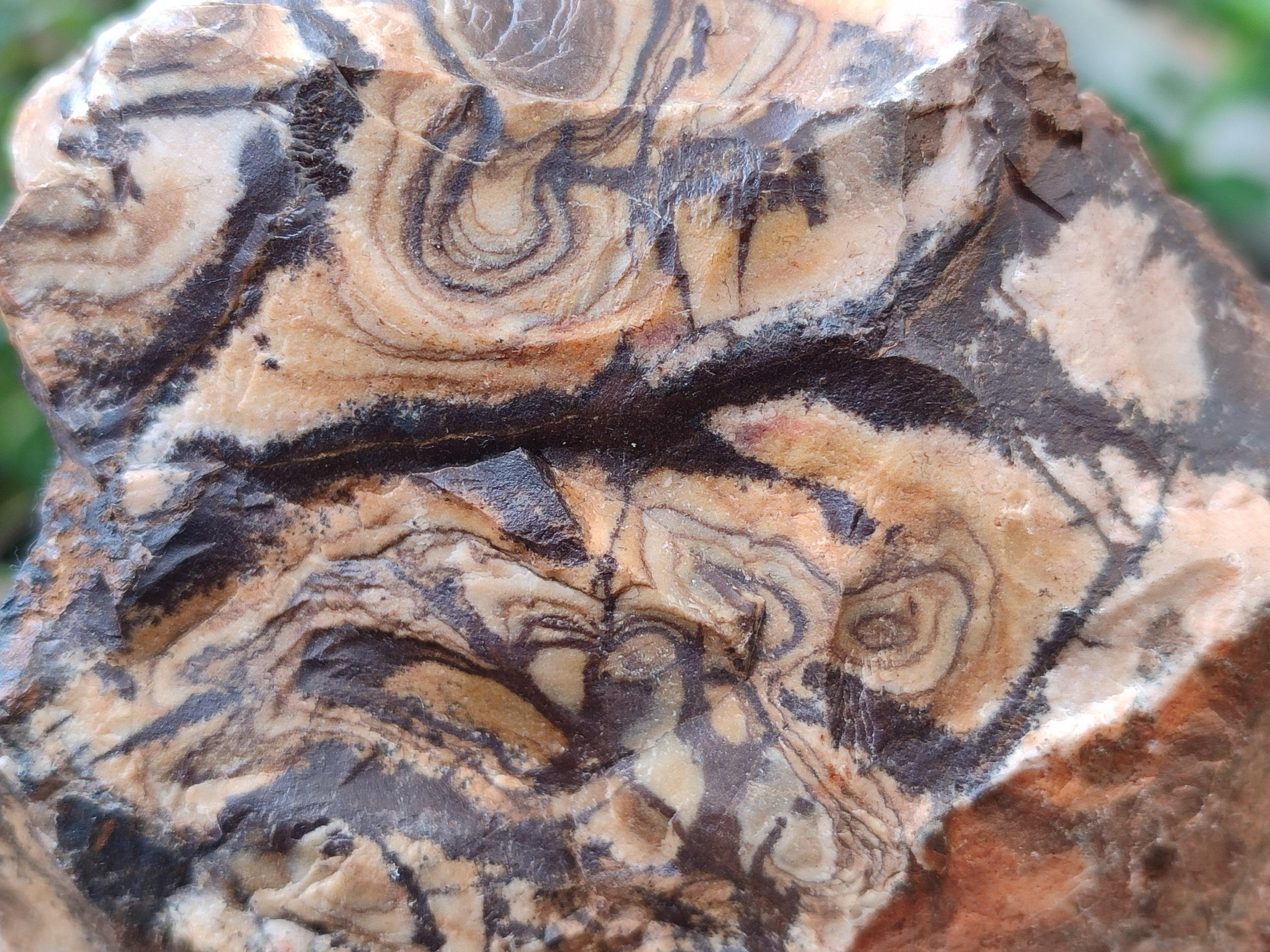 Natural Nguni Jasper Cobbed Specimens x 5 From Northern Cape, South Africa