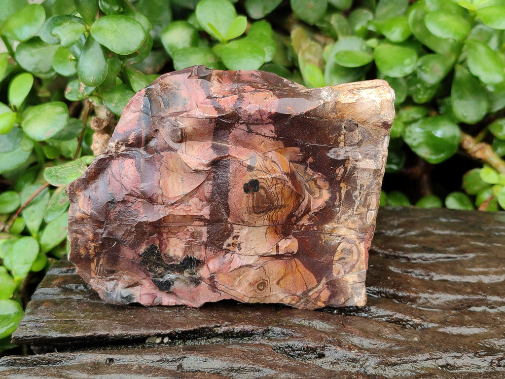 Natural Nguni Jasper Cobbed Specimens x 5 From Northern Cape, South Africa