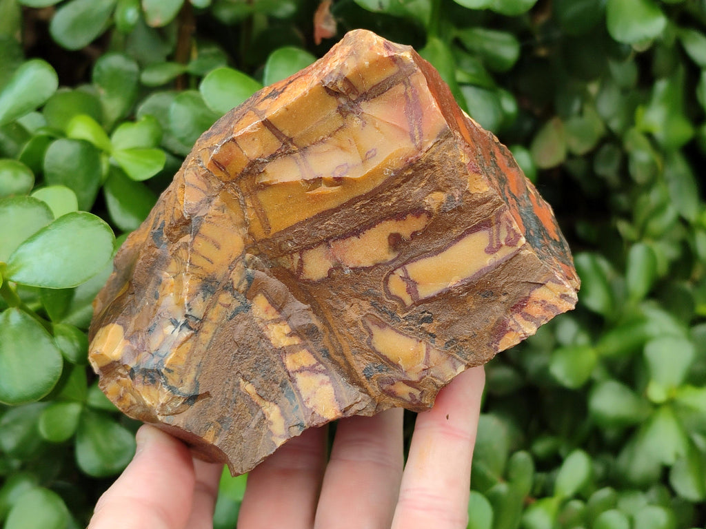 Natural Nguni Jasper Cobbed Specimens x 5 From Northern Cape, South Africa