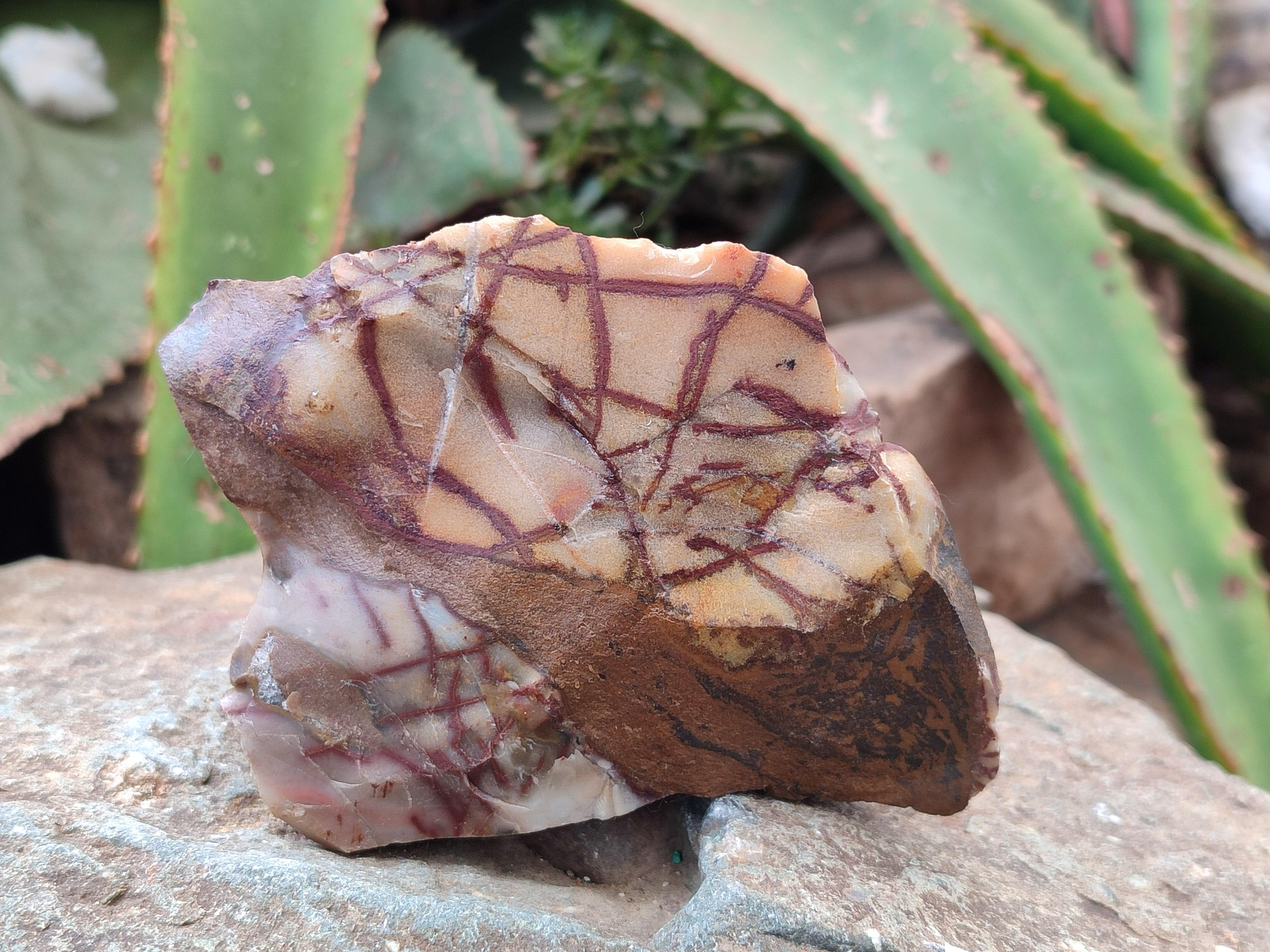 Natural Nguni Jasper Cobbed Specimens x 5 From Northern Cape, South Africa
