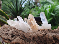 Natural Clear Quartz Crystal Clusters x 70 From Madagascar
