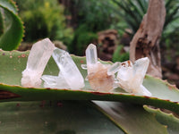 Natural Clear Quartz Crystal Clusters x 70 From Madagascar