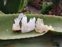 Natural Clear Quartz Crystal Clusters x 70 From Madagascar