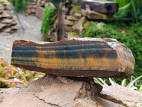 Natural Large Golden Blue Tigers Eye Slab x 1 From Prieska, South Africa