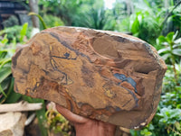 Natural Large Golden Blue Tigers Eye Slab x 1 From Prieska, South Africa