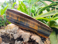 Natural Large Golden Blue Tigers Eye Slab x 1 From Prieska, South Africa