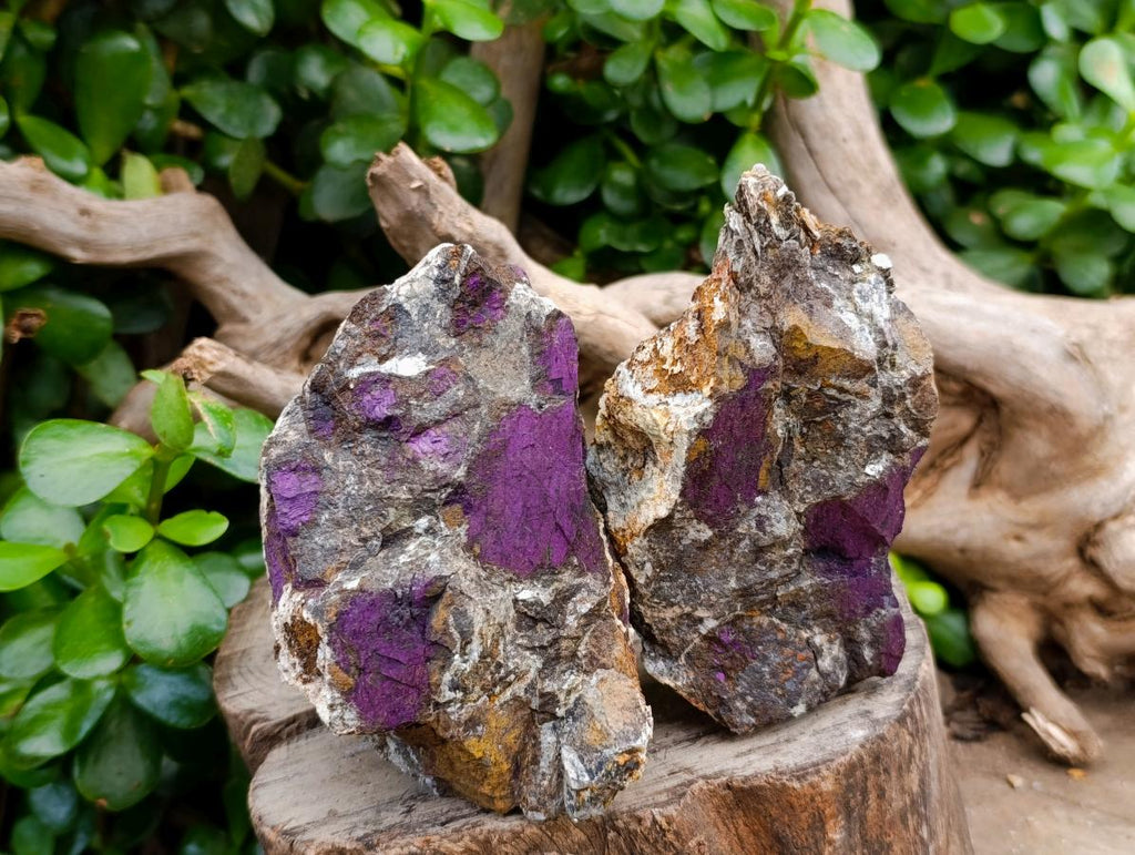 Natural Metallic Purpurite Specimens x 5 From Erongo, Namibia
