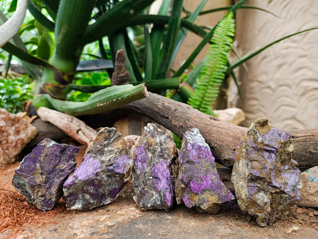 Natural Metallic Purpurite Specimens x 5 From Erongo, Namibia
