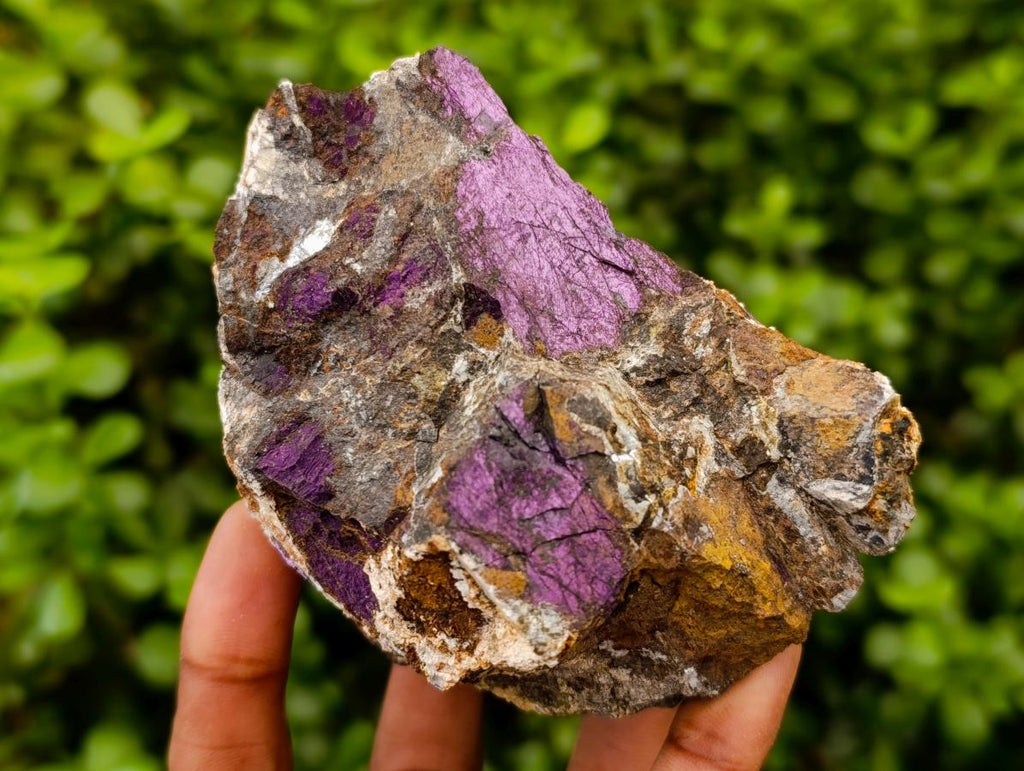 Natural Metallic Purpurite Specimens x 5 From Erongo, Namibia