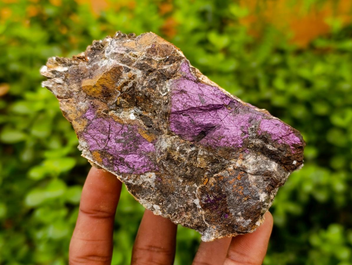 Natural Metallic Purpurite Specimens x 5 From Erongo, Namibia