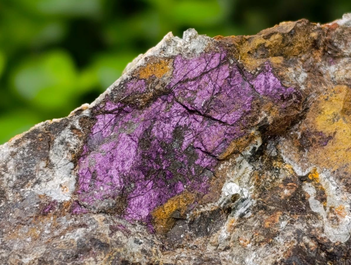 Natural Metallic Purpurite Specimens x 5 From Erongo, Namibia