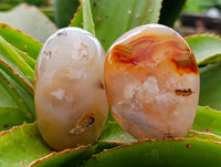 Polished Flower Agate Palm Stones x 12 From Antsahalova, Madagascar