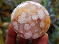 Polished Flower Agate Palm Stones x 12 From Antsahalova, Madagascar