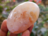 Polished Flower Agate Palm Stones x 12 From Antsahalova, Madagascar