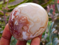 Polished Flower Agate Palm Stones x 12 From Antsahalova, Madagascar
