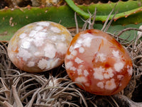 Polished Flower Agate Palm Stones x 12 From Antsahalova, Madagascar