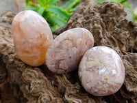 Polished Flower Agate Palm Stones x 12 From Antsahalova, Madagascar