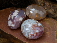 Polished Flower Agate Palm Stones x 12 From Antsahalova, Madagascar