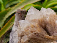 Natural Smokey Phantom Quartz Clusters x 3 From Luena, Congo