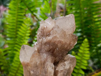 Natural Smokey Phantom Quartz Clusters x 3 From Luena, Congo